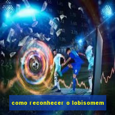 como reconhecer o lobisomem